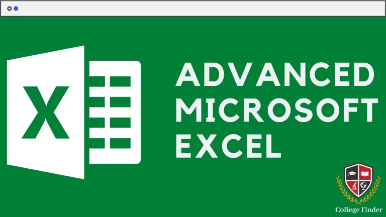 Advanced MS Excel Course